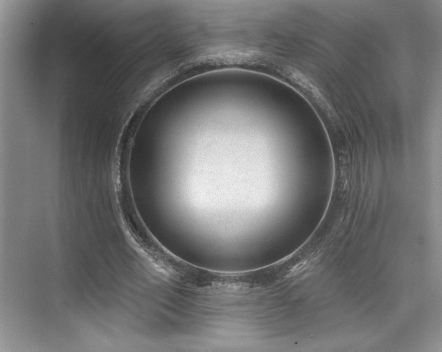 X0000073830582200608101206