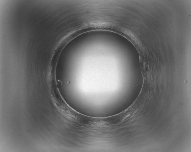 X0000073830583200608101206