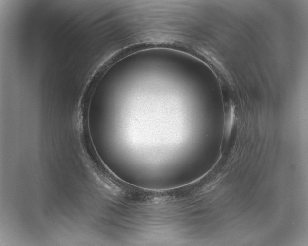 X0000073830584200608101206