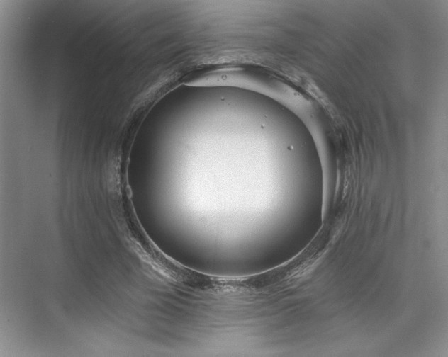 X0000073830585200608101205