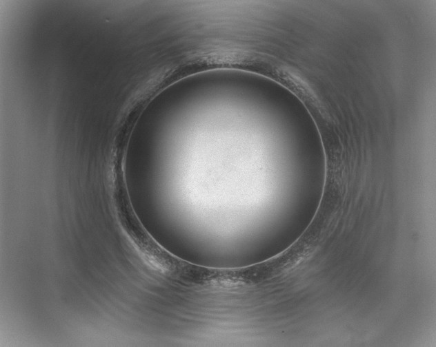 X0000073830586200608101205