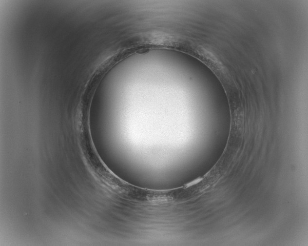 X0000073830587200608101205