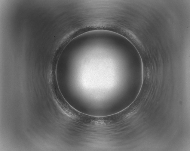 X0000073830588200608101205