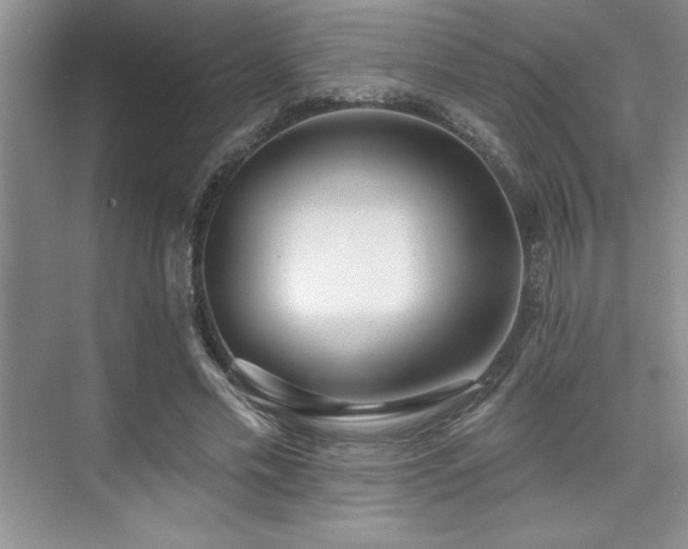 X0000073830589200608101205