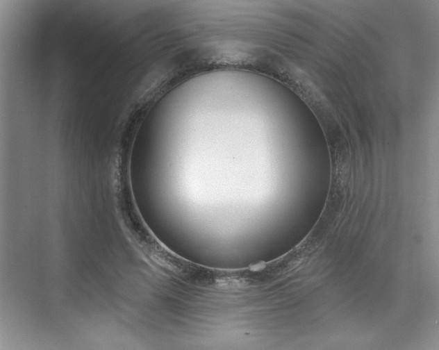 X0000073830591200608101205