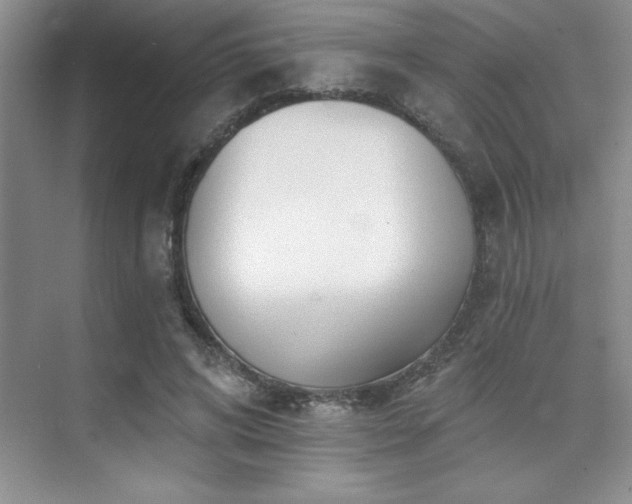 X0000073830592200608101205