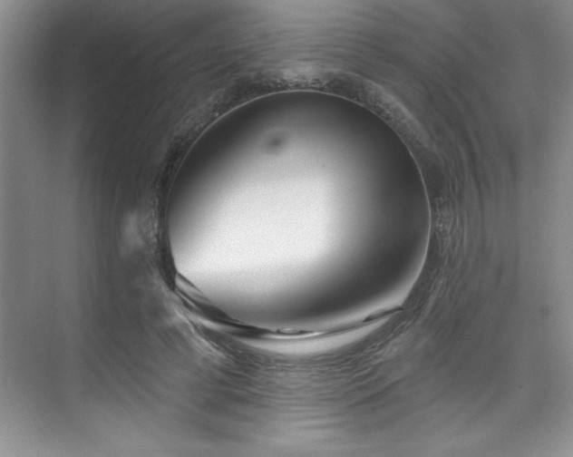 X0000073830593200608101205