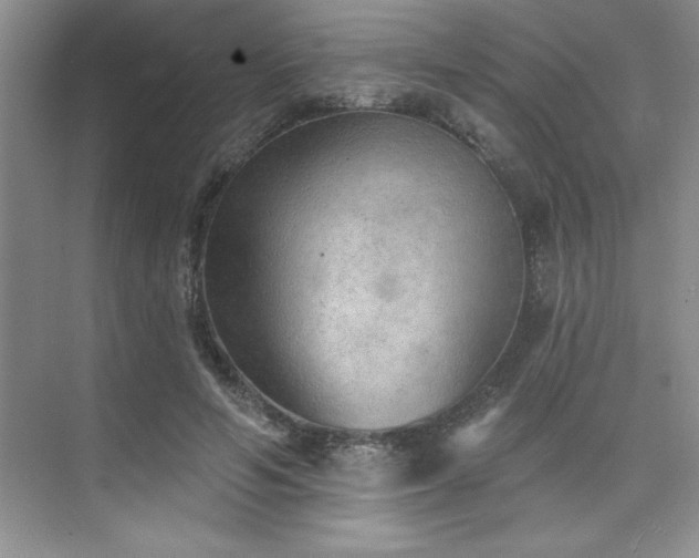 X0000073830594200608101205