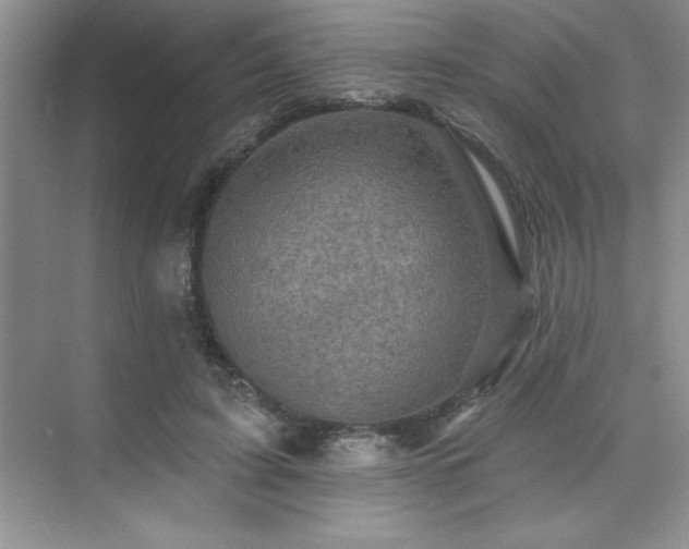 X0000073830595200608101205