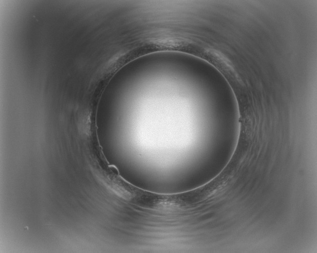 X0000073830596200608101205