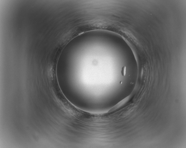 X0000073830597200608101205