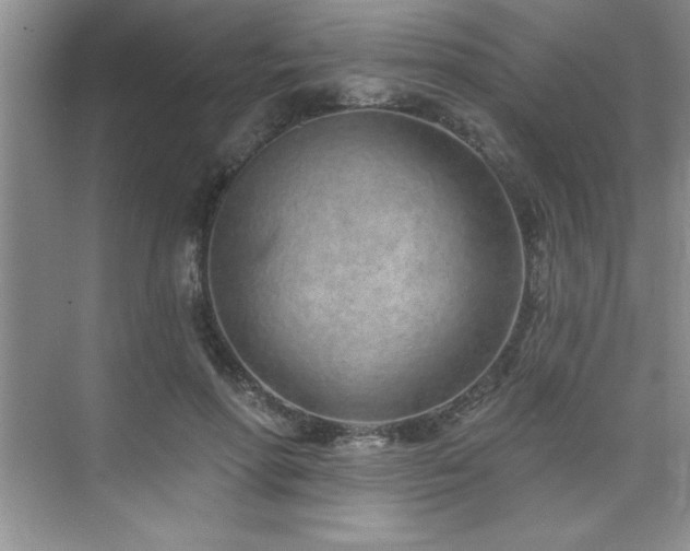 X0000073830598200608101205