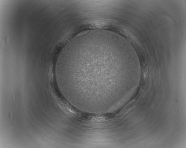 X0000073830599200608101205