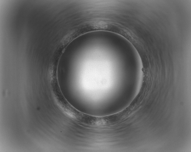 X0000073830600200608101205