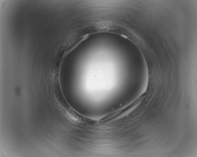 X0000073830601200608101205