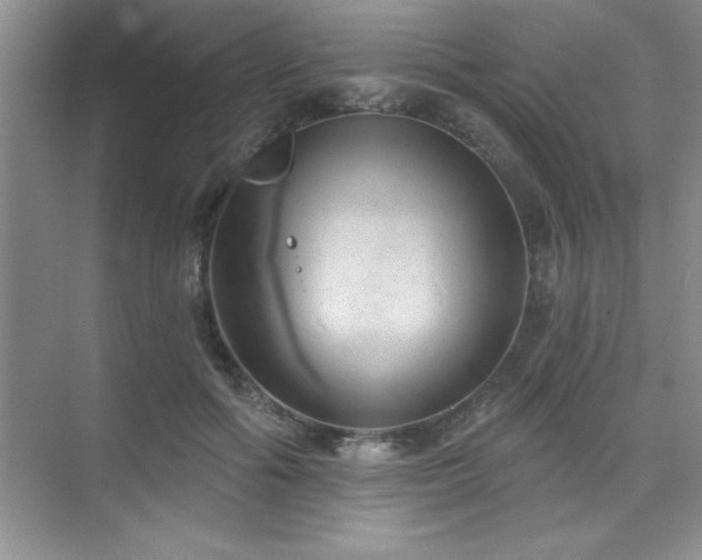 X0000073830602200608101205