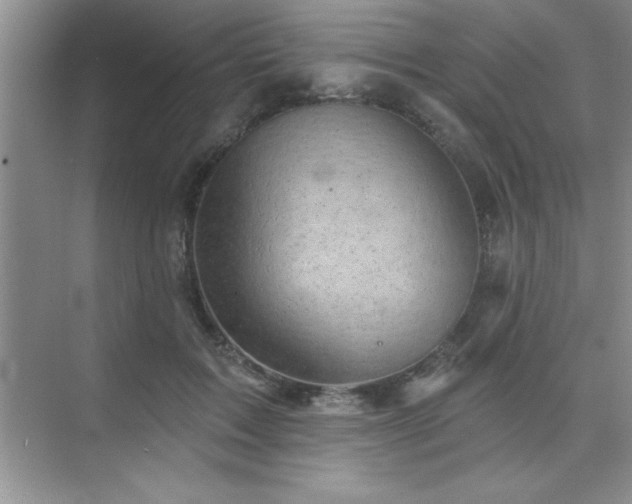 X0000073830603200608101205