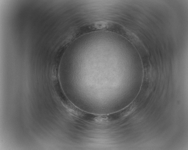 X0000073830606200608101205