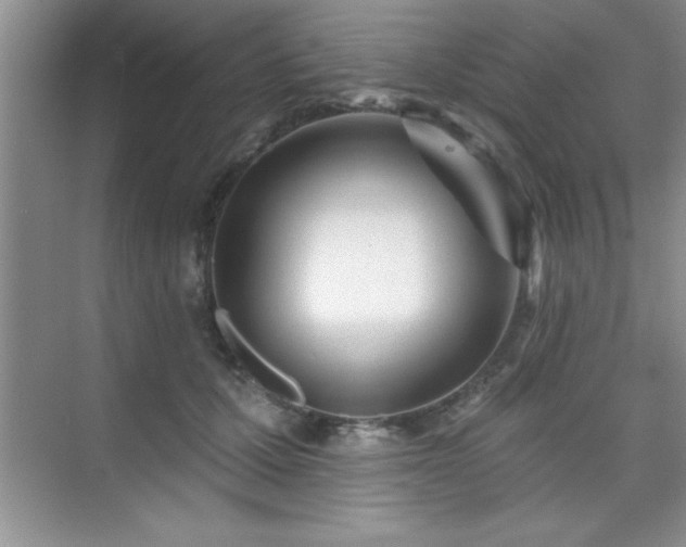 X0000073830607200608101205