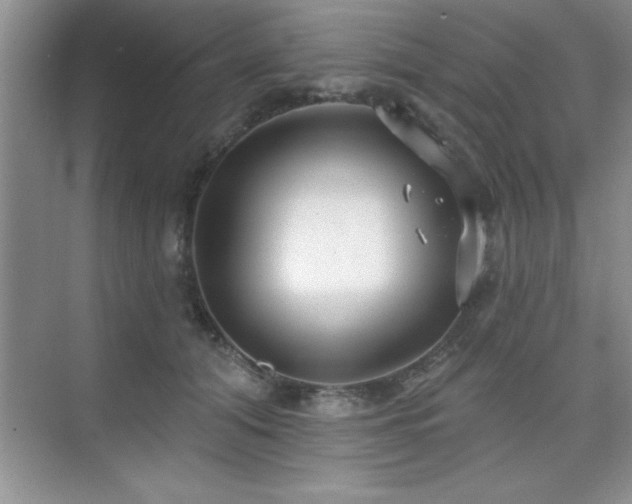 X0000073830608200608101205