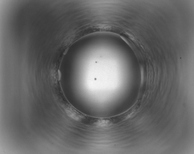 X0000073830609200608101205