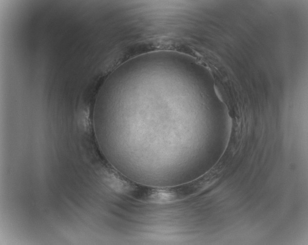 X0000073830610200608101205