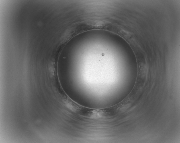 X0000073830612200608101205