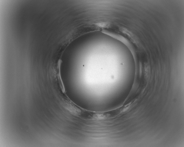 X0000073830613200608101205