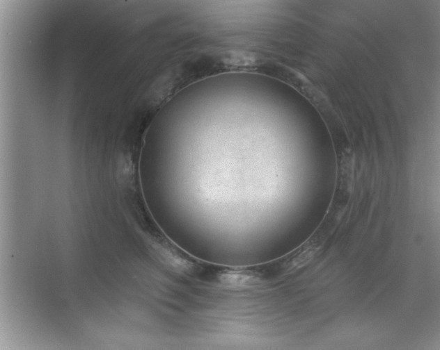 X0000073830614200608101205