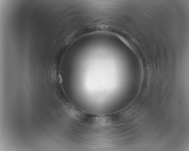 X0000073830615200608101205