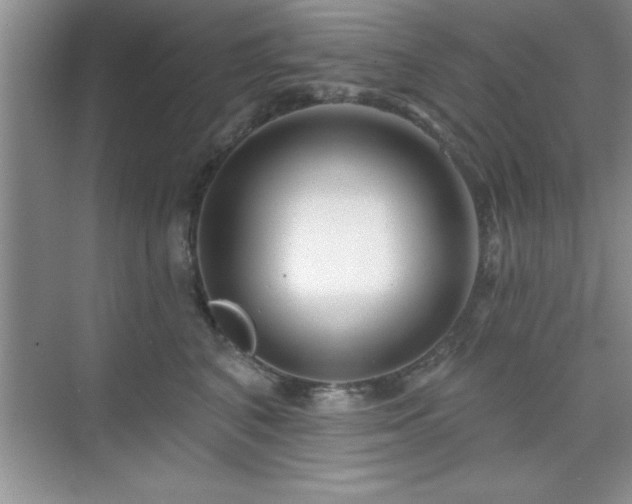 X0000073830616200608101205