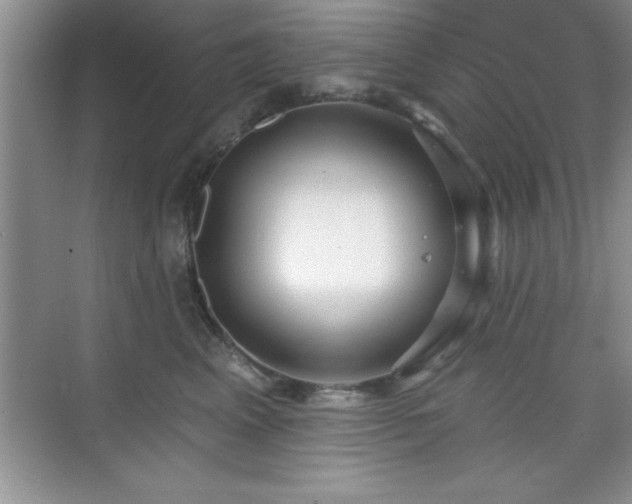 X0000073830617200608101205