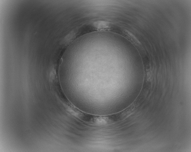 X0000073830618200608101205