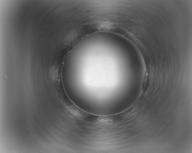 X0000073830619200608101205