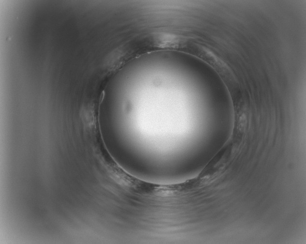 X0000073830620200608101205