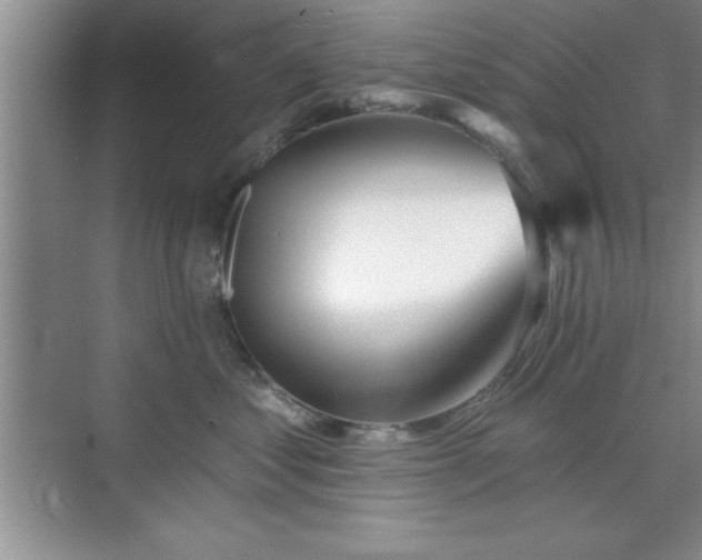 X0000073830621200608101205