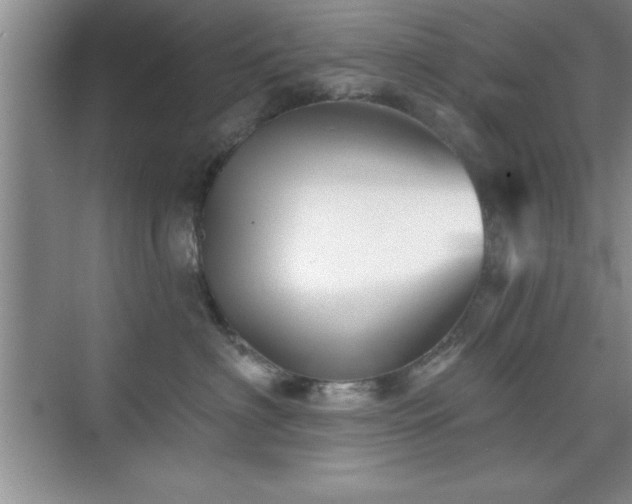 X0000073830622200608101205