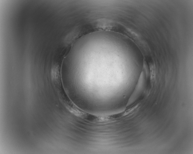 X0000073830623200608101205