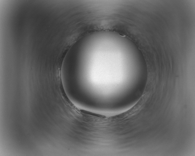 X0000073830624200608101205