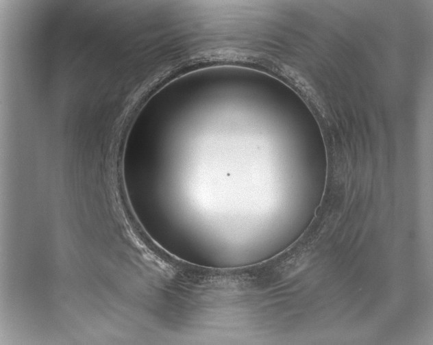 X0000073830625200608101204