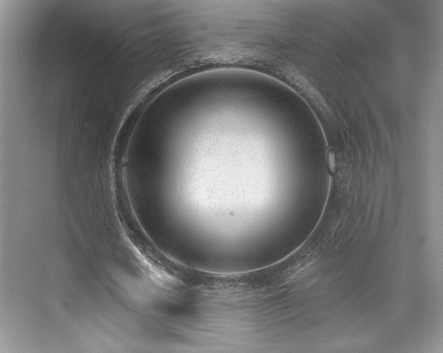 X0000073830626200608101204