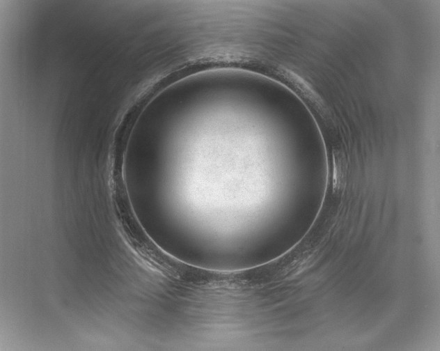 X0000073830627200608101204