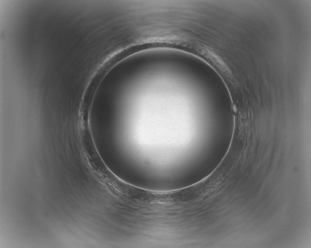 X0000073830628200608101204