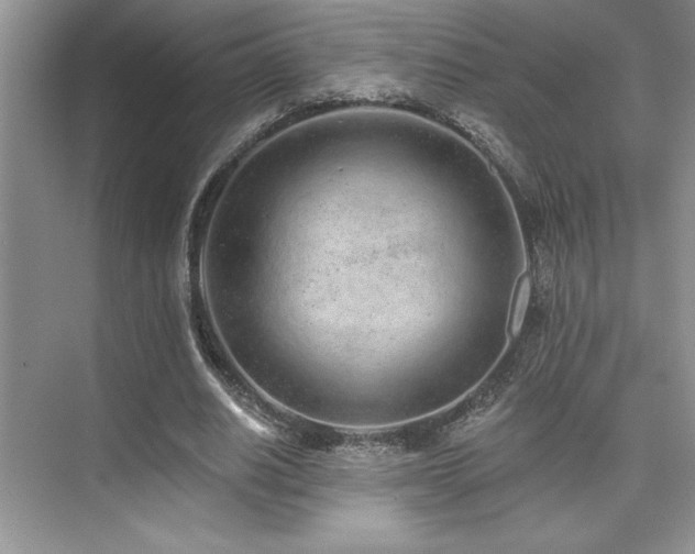 X0000073830630200608101204