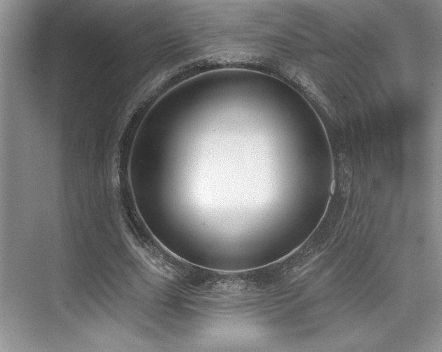 X0000073830631200608101204