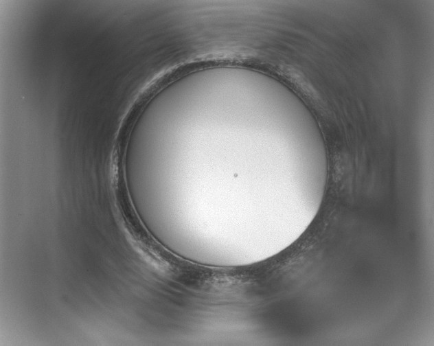 X0000073830632200608101204