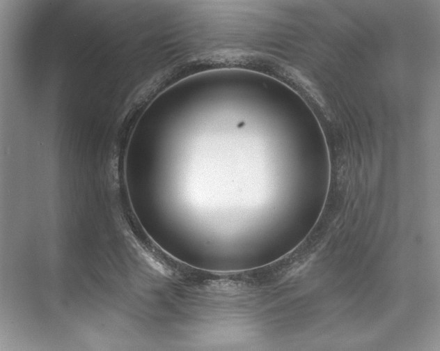 X0000073830633200608101204