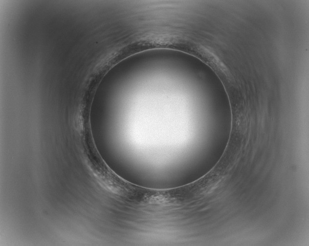 X0000073830635200608101204