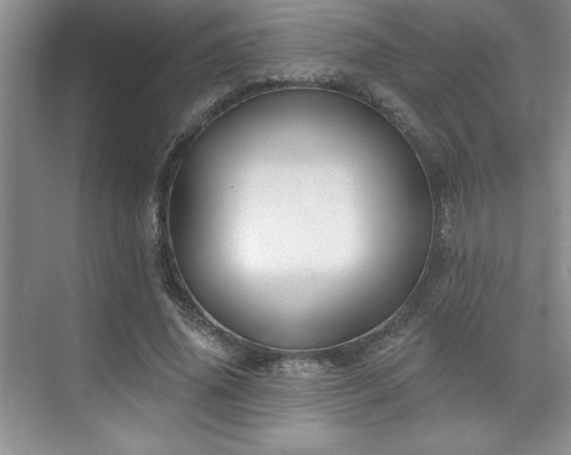 X0000073830636200608101204