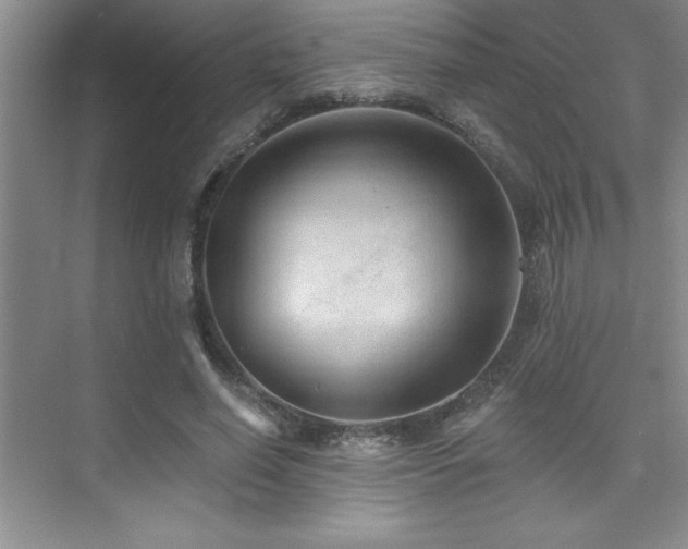 X0000073830638200608101204